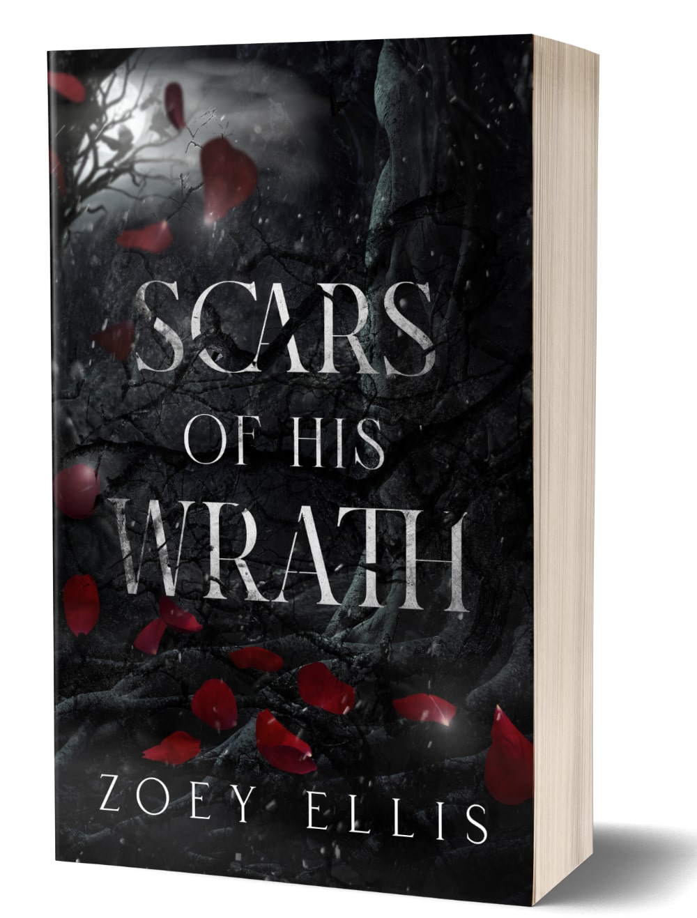 Scars of His Wrath alt paperback